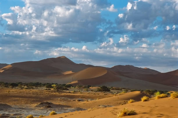 Landscape with clouds and dunes stock photo