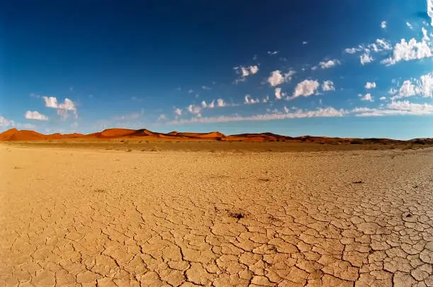 Cracked Namib desert land. Dunes on the background. Horizontal shot