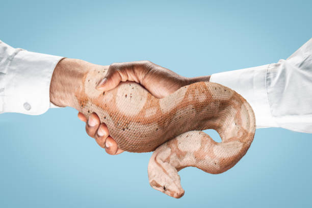Two male hands shaking isolated on blue studio background