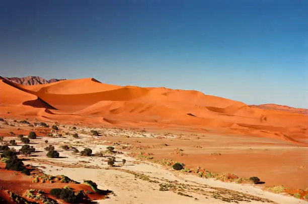 Namib desert scenics. Sunny day. Horizontal shot