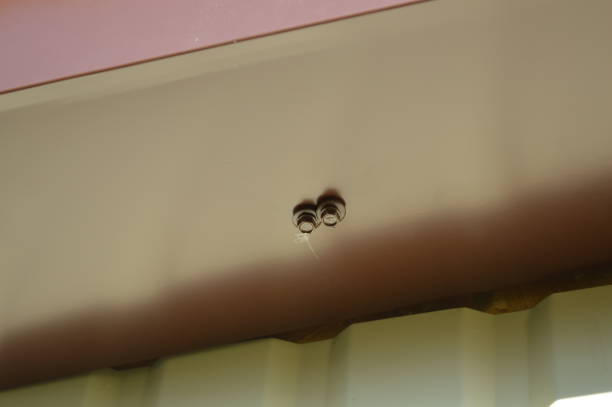 istock Fasteners for construction and repair 1172229590