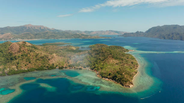 istock tropical island with sandy beach, Philippines, Palawan 1172231564