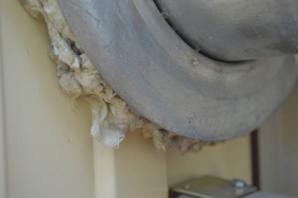 istock Fasteners for construction and repair 1172231719