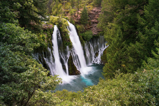 chute d'eau de mcarthur burney falls en californie - burney photos et images de collection