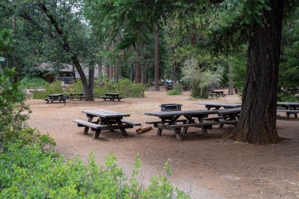 zone de pique-nique avec tables et grillades dans le parc d'état de mcarthur burney falls en californie - burney photos et images de collection