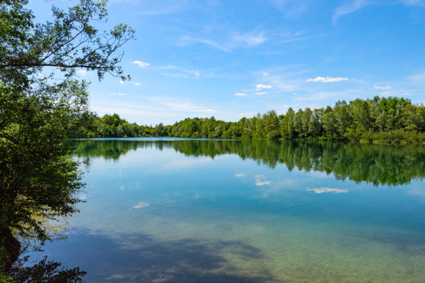 istock Forest lake in German national park with clear blue sky reflection 1172235597