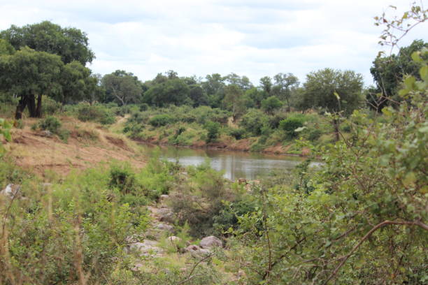 istock stouh africa landscape 1172235924