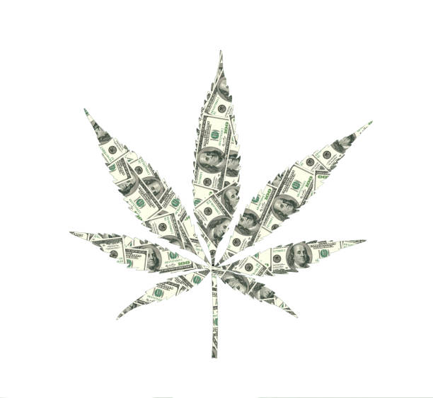 Cannabis leaf with dollar texture Cannabis leaf with dollar texture, white background drug cartel stock illustrations