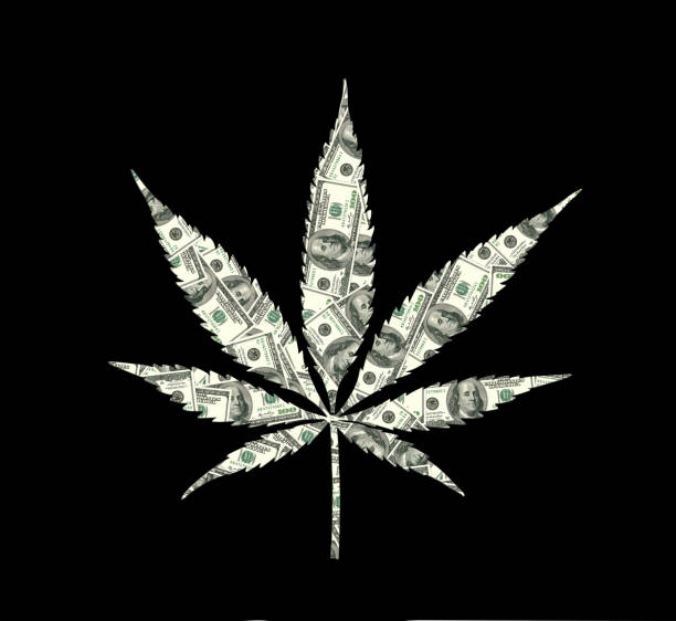 Cannabis leaf with dollar texture Cannabis leaf with dollar texture, black background drug cartel stock illustrations