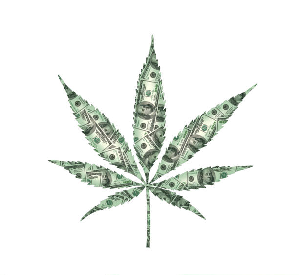 Cannabis leaf with dollar texture Cannabis leaf with dollar texture, white background drug cartel stock illustrations