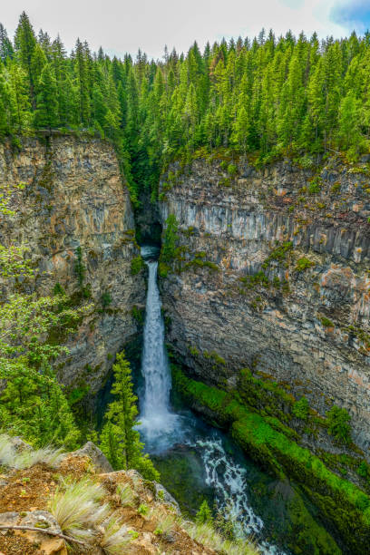 istock Beautiful Spahats Creek Falls 1172238023