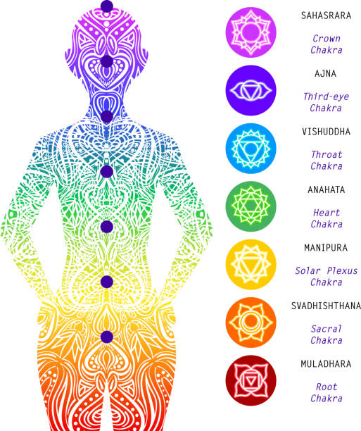ilustrações, clipart, desenhos animados e ícones de sete pontos de chacras, corpo energético. meditação da ioga. localização de diferentes chakras no corpo. raiz, umbigo, plexo solar, coração, garganta, terceiro olho, coroa. sistema humano básico do chakra - vishuddha