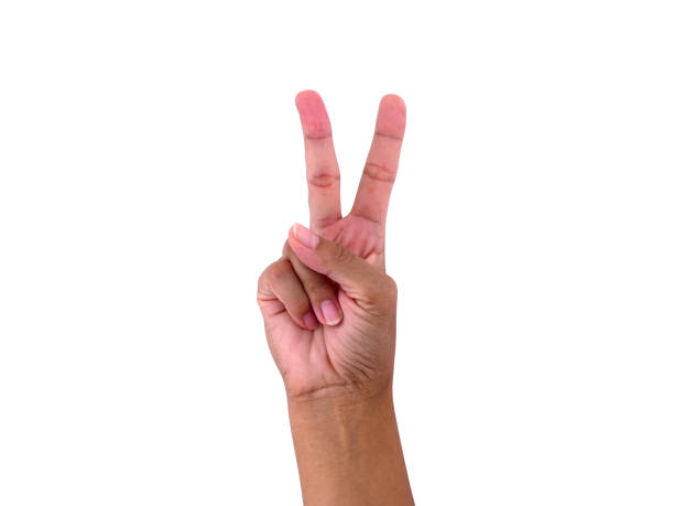 istock showing gestures 2 finger hand for victory sign isolated on white background. communication gestures concept. clipping path 1172239765