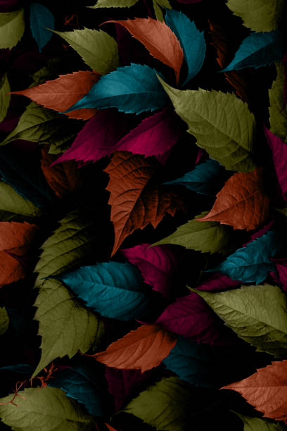 istock Bright green leaves top view minimalistic background 1172241594