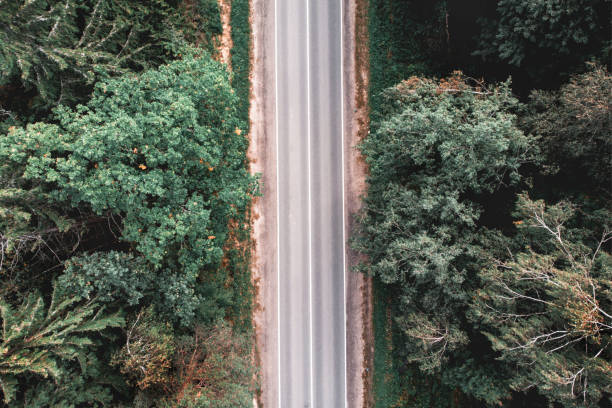 drone aerial empty country road in green forest - road top view imagens e fotografias de stock