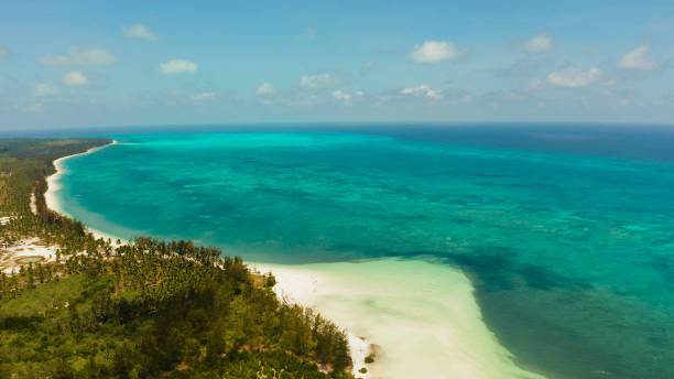 istock Tropical island with sandy beach. Balabac, Palawan, Philippines 1172244434