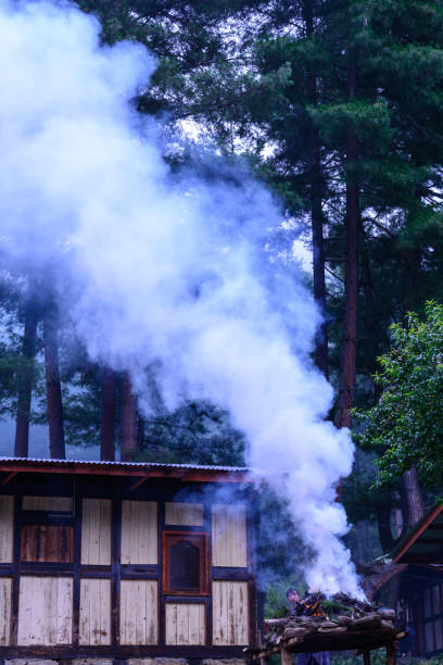 A fabricated practice  in Bhutan- cleansing and purification burning tree plant and creating smoke