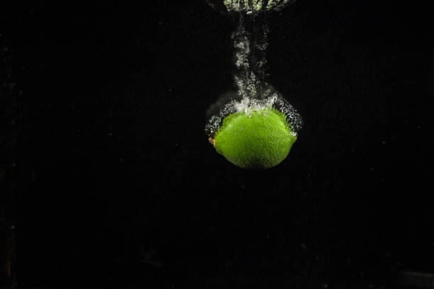 istock Green lime falls in aquarium with black wall behind it 1172245454