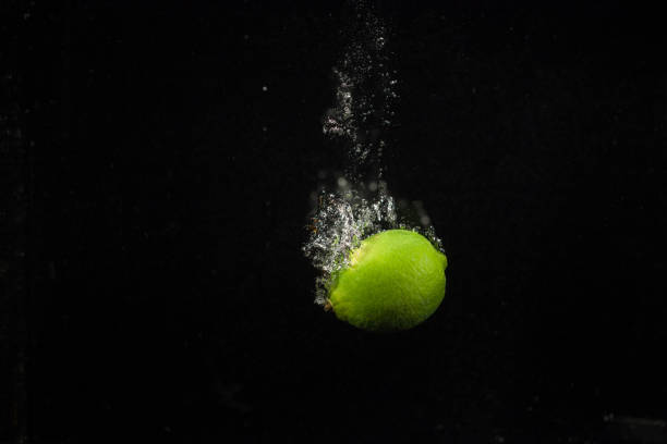 istock Green lime falls in aquarium with black wall behind it 1172245585