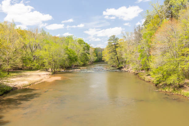 Wide Georgia Creek on Sunny Spring Day