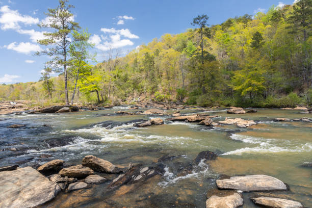 istock Rocky Rapids on Wooded Georgia Creek 1172246431