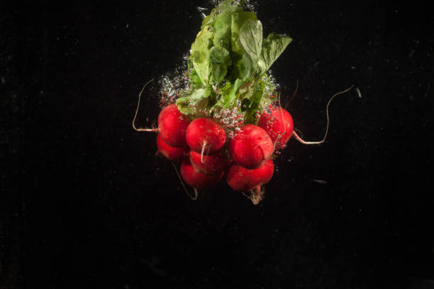 istock Tasty fresh radish falls in black aquarium 1172247162