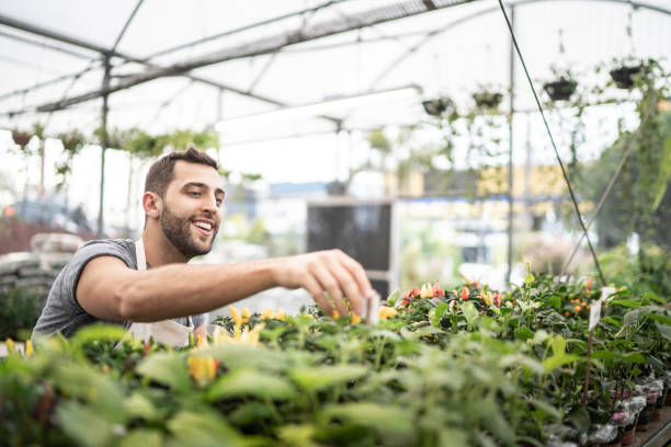 istock Young florist taking care of some seedlings 1172248147