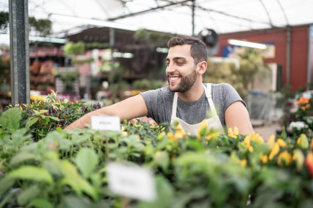 istock Young florist taking care of some seedlings 1172248150