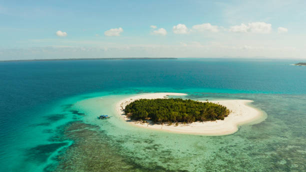 istock Tropical island with sandy beach. Balabac, Palawan, Philippines 1172250046
