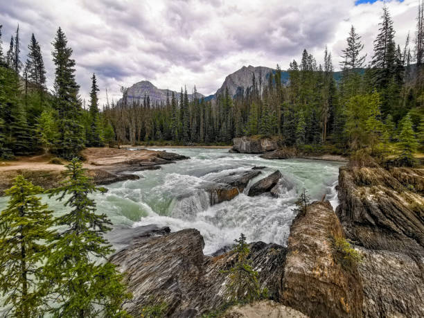 istock Kicking Horse River and The Natural Bridge, Canada 1172250260