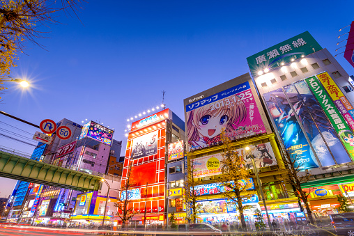 Tokyo, Japan - January 2, 2013: The Akihabara district at night. The district is a major shopping area for electronic, computer, anime, games and otaku goods.