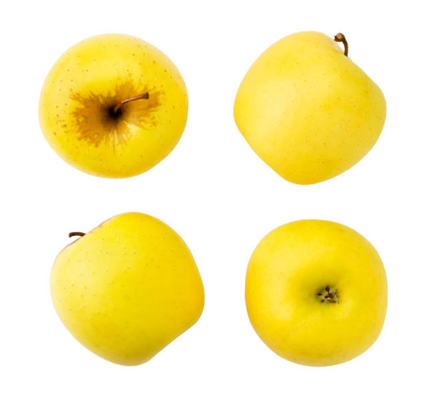 istock Set of yellow apples isolated on a white. 1172251524