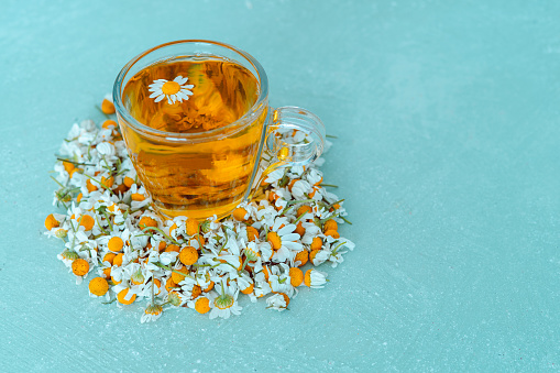 Cup of chamomile with flowers on blue background. Copy space