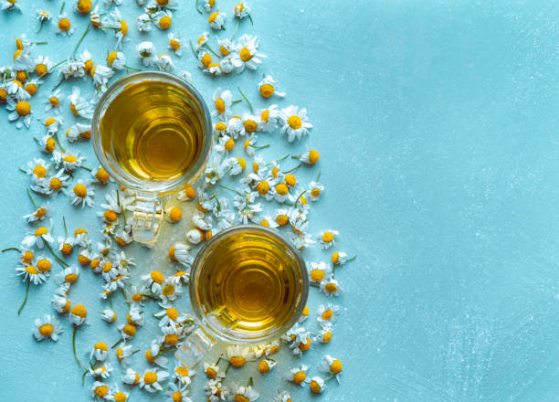 istock Cup of chamomile with flowers on blue background. Copy space Flat lay. 1172252930