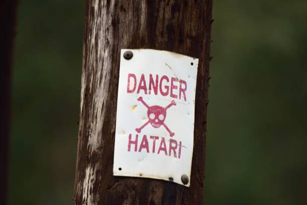 A danger sign in English and Swahili about the mountain gorillas roaming freely through the Ugandan Blind Impenetrable Forest National Park