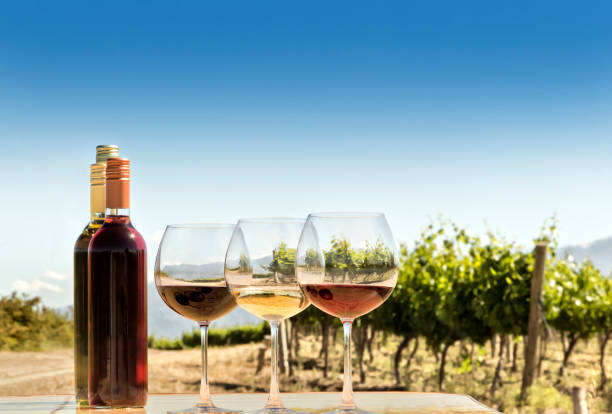 degustación de vino tinto, blanco y rosado, en su terruño - fotos de viñedos chilenos fotografías e imágenes de stock