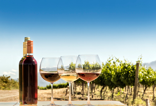 Red, white, and rosé wine, in the vineyard