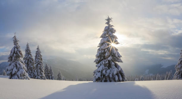 istock Winter landscape. Spectacular panorama is opened on mountains, trees covered with white snow, lawn and blue sky with clouds. 1172256708