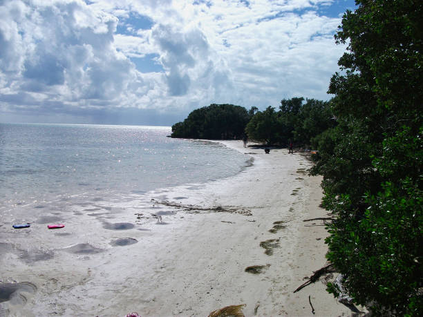 istock a lonesome beach in miami 1172257475