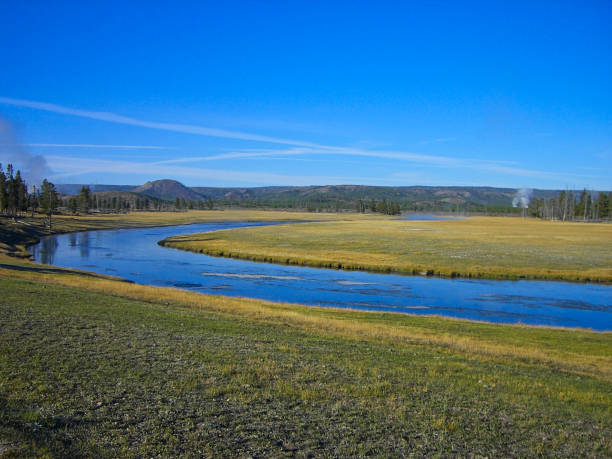 istock the prairie in the yellowstone park 1172257562