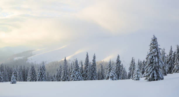 istock Winter landscape. Spectacular panorama is opened on mountains, trees covered with white snow, lawn and blue sky with clouds. 1172259746