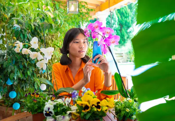 Asian woman taking photos of her orchid flowers at backyard garden