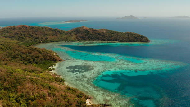 istock Small torpic island with a white sandy beach, top view 1172263754