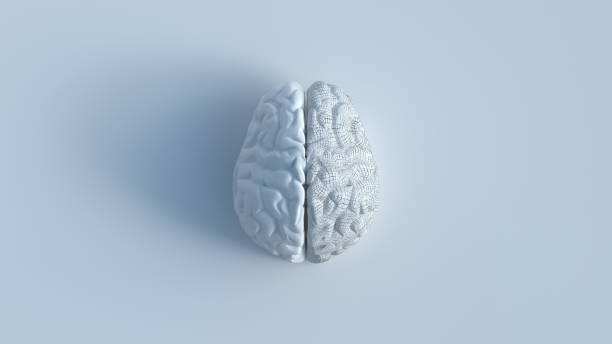 istock 2 sides of human brain concept minimalist 1172265653
