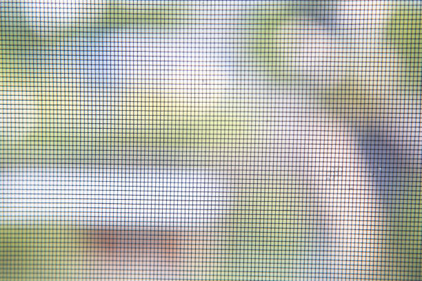istock Plastic Windows and mosquito net. Use of plastic Windows. 1172268638