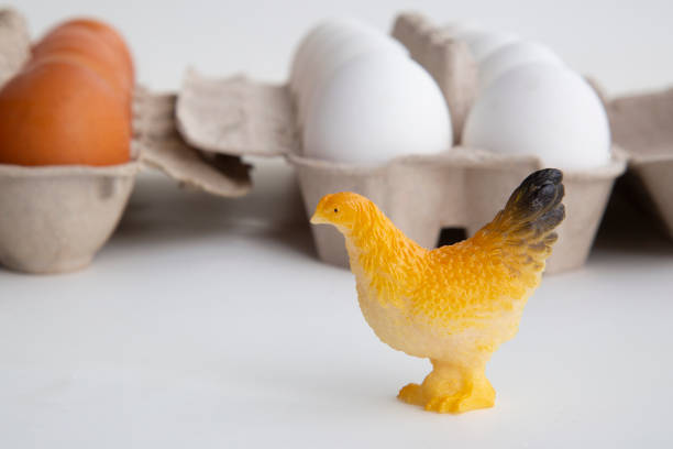 istock Chicken eggs for cooking. White and brown eggs. 1172270605