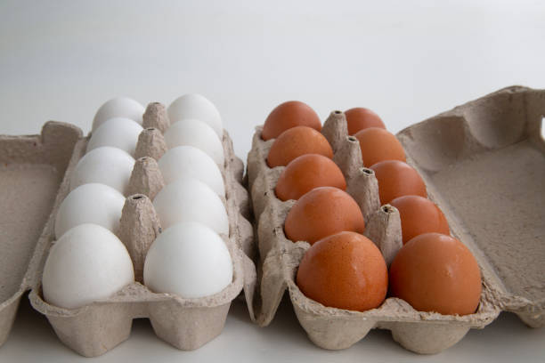 istock Chicken eggs for cooking. White and brown eggs. 1172270685