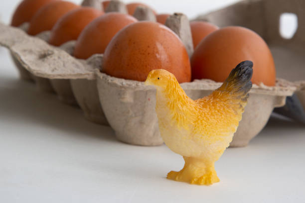 istock Chicken eggs for cooking. White and brown eggs. 1172270723