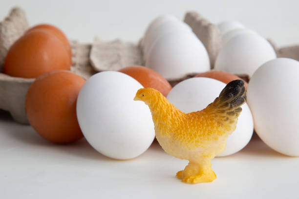 istock Chicken eggs for cooking. White and brown eggs. 1172270738