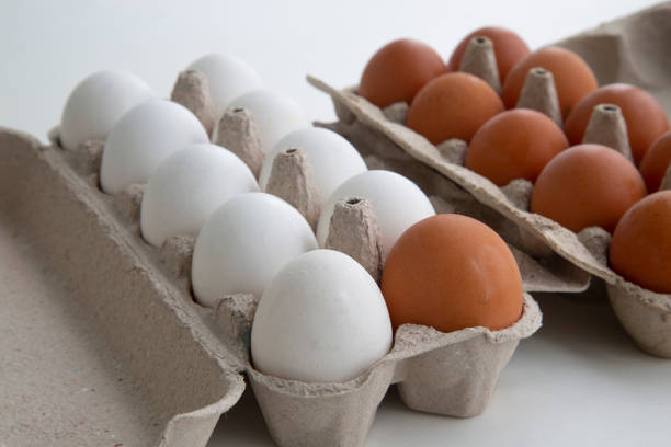 istock Chicken eggs for cooking. White and brown eggs. 1172270755